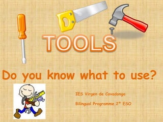 Do you know what to use?
IES Virgen de Covadonga
Bilingual Programme 2º ESO

 