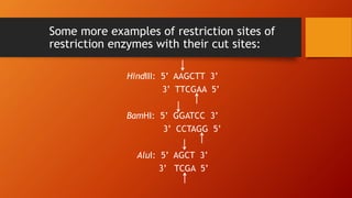 Tools and tech. in Genetic Engineering and Restriction Enzymes by ...