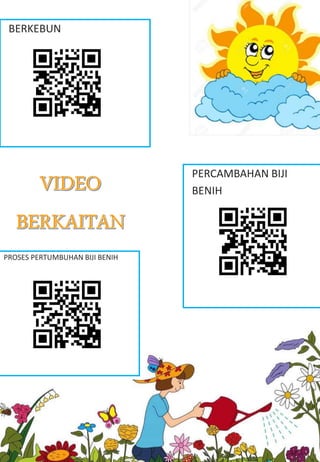 BERKEBUN
PROSES PERTUMBUHAN BIJI BENIH
PERCAMBAHAN BIJI
BENIH
 