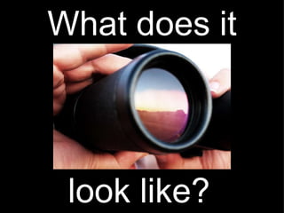 What does it look like? 