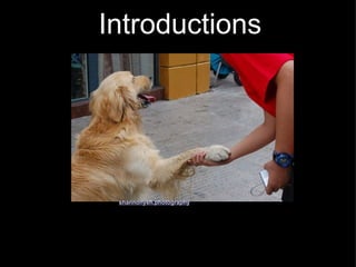 Introductions shannonyeh.photography 