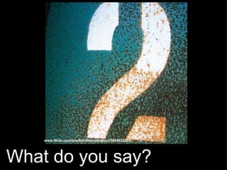   What do you say? www.flickr.com/photos/thetruthabout/2665628285/ 