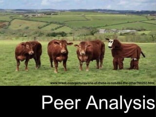   Peer Analysis www.break.com/pictures/one-of-these-is-not-like-the-other760202.html 