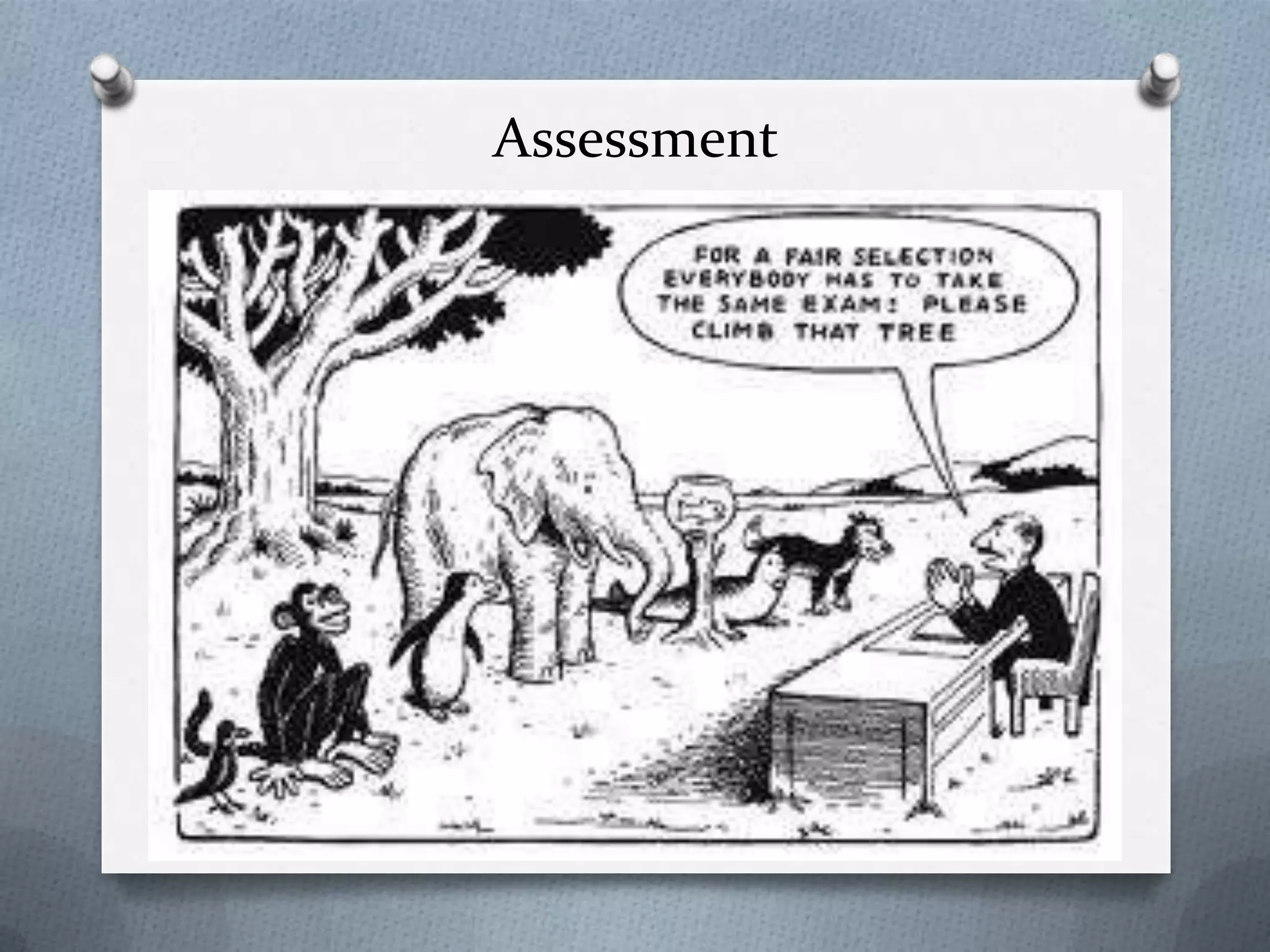 Assessment
 
