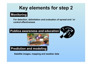 Key elements for step 2
Monitoring
For detection, delimitation and evaluation of spread and / or
control effectiveness
Prediction and modeling
Satellite images, mapping and weather data
Publica awareness and education
 