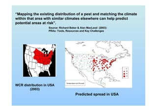 “Mapping the existing distribution of a pest and matching the climate
within that area with similar climates elsewhere can help predict
potential areas at risk”.
Source: Richard Baker & Alan MacLeod (2003):
PRAs: Tools, Resources and Key Challenges
WCR distribution in USA
(2003)
Predicted spread in USA
 
