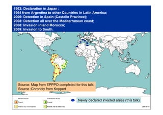 1962: Declaration in Japan ;
1964 from Argentina to other Countries in Latin America;
2006: Detection in Spain (Castello Province);
2008: Detection all over the Mediterranean coast;
2008: Invasion inland Morocco;
2009: Invasion to South.
Source: Map from EPPPO completed for this talk;
Source :Chronoly from Koppert
 