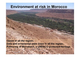 Environment at risk in Morocco
Oases in all the region;
Date and ornemental palm trees in all the region;
Palmeraie of Marrakech, a UNESCO protected heritage.
 