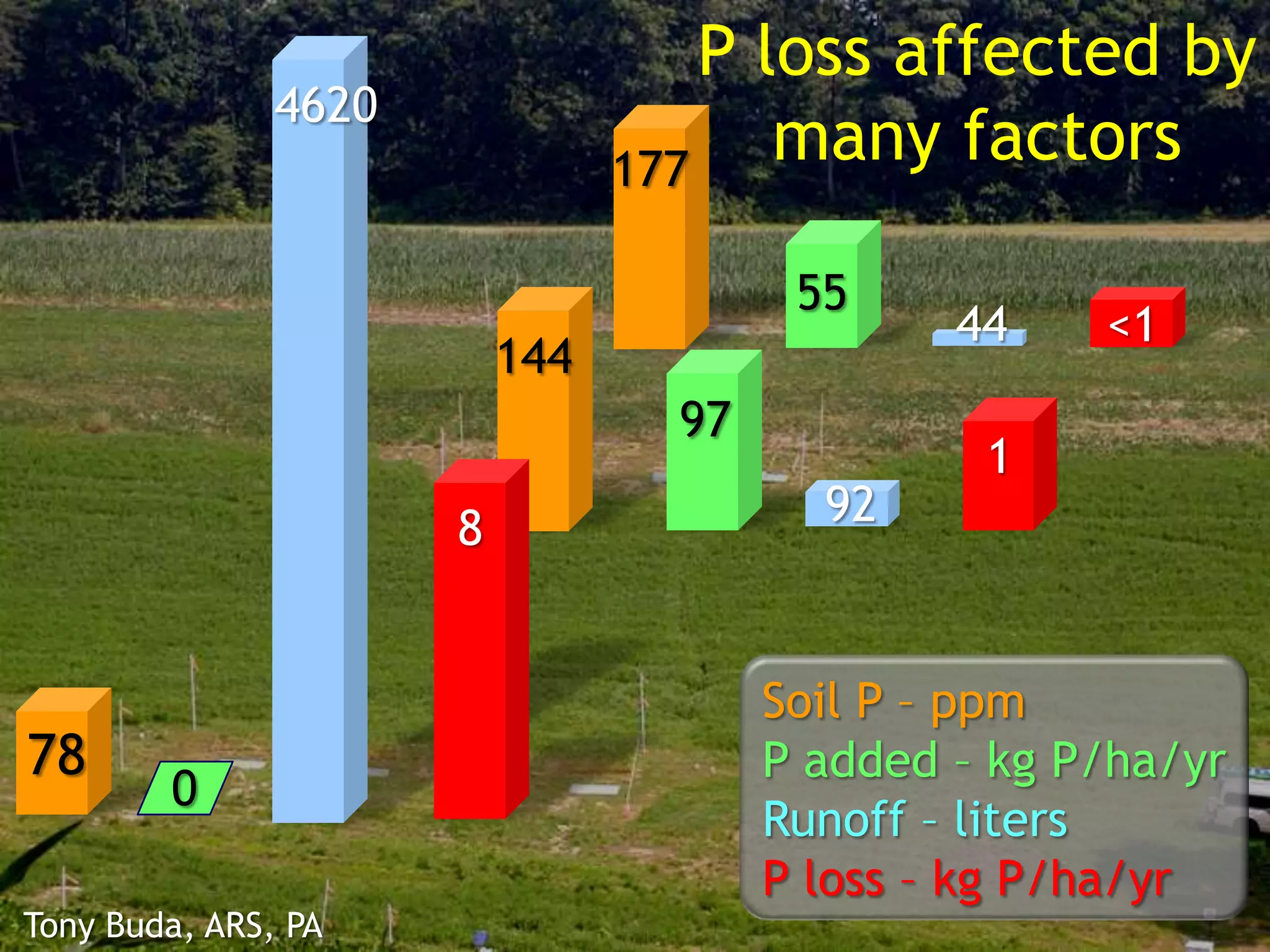 P loss affected by
many factors177
144
44
4620
1
<1
97
55
DP
8
DP78
92
0
Tony Buda, ARS, PA
Soil P – ppm
P added – kg P/ha/yr
Runoff – liters
P loss – kg P/ha/yr
 
