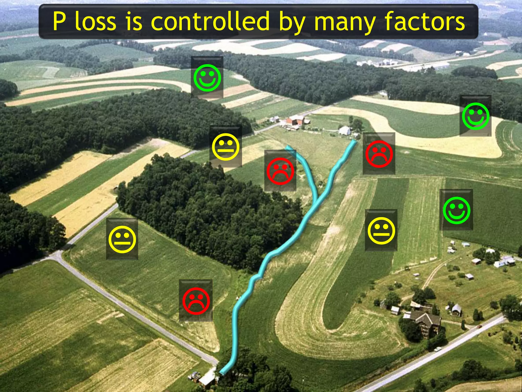 







P loss is controlled by many factors
 