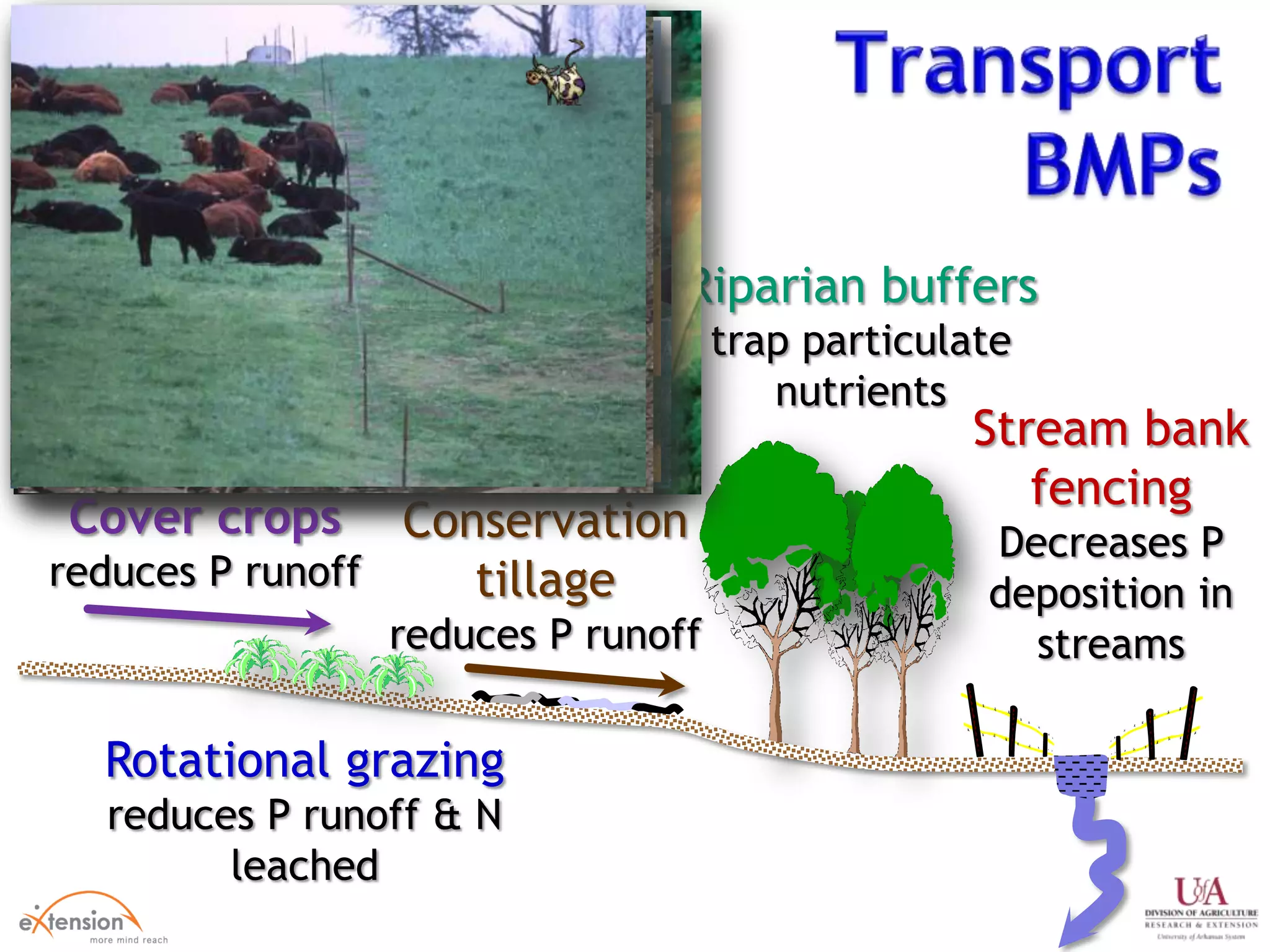 Rotational grazing
reduces P runoff & N
leached
Stream bank
fencing
Decreases P
deposition in
streams
Conservation
tillage
reduces P runoff
Riparian buffers
trap particulate
nutrients
Cover crops
reduces P runoff
 