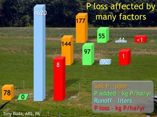 P loss affected by
many factors177
144
44
4620
1
<1
97
55
DP
8
DP78
92
0
Tony Buda, ARS, PA
Soil P – ppm
P added – kg P/ha/yr
Runoff – liters
P loss – kg P/ha/yr
 