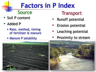 • Runoff potential
• Erosion potential
• Leaching potential
• Proximity to stream
TransportSource
• Soil P content
• Added P
• Rate, method, timing
of fertilizer & manure
• Manure P solubility
 