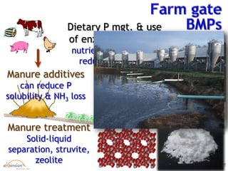 Dietary P mgt. & use
of enzymes enhances
nutrient absorption &
reduces excretion
Manure additives
can reduce P
solubility & NH3 loss
Manure treatment
Solid-liquid
separation, struvite,
zeolite
Struvite
 