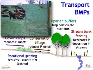 Rotational grazing
reduces P runoff & N
leached
Stream bank
fencing
Decreases P
deposition in
streams
Conservation
tillage
reduces P runoff
Riparian buffers
trap particulate
nutrients
Cover crops
reduces P runoff
 