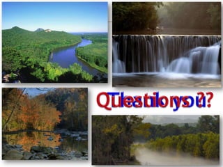 Tools for phosphorus management