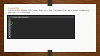 3. Lasso Tool
This tool is also a selection tool. This tool allows you to draw a freehanded choice border around the object you
wish to pick out in your image.
 