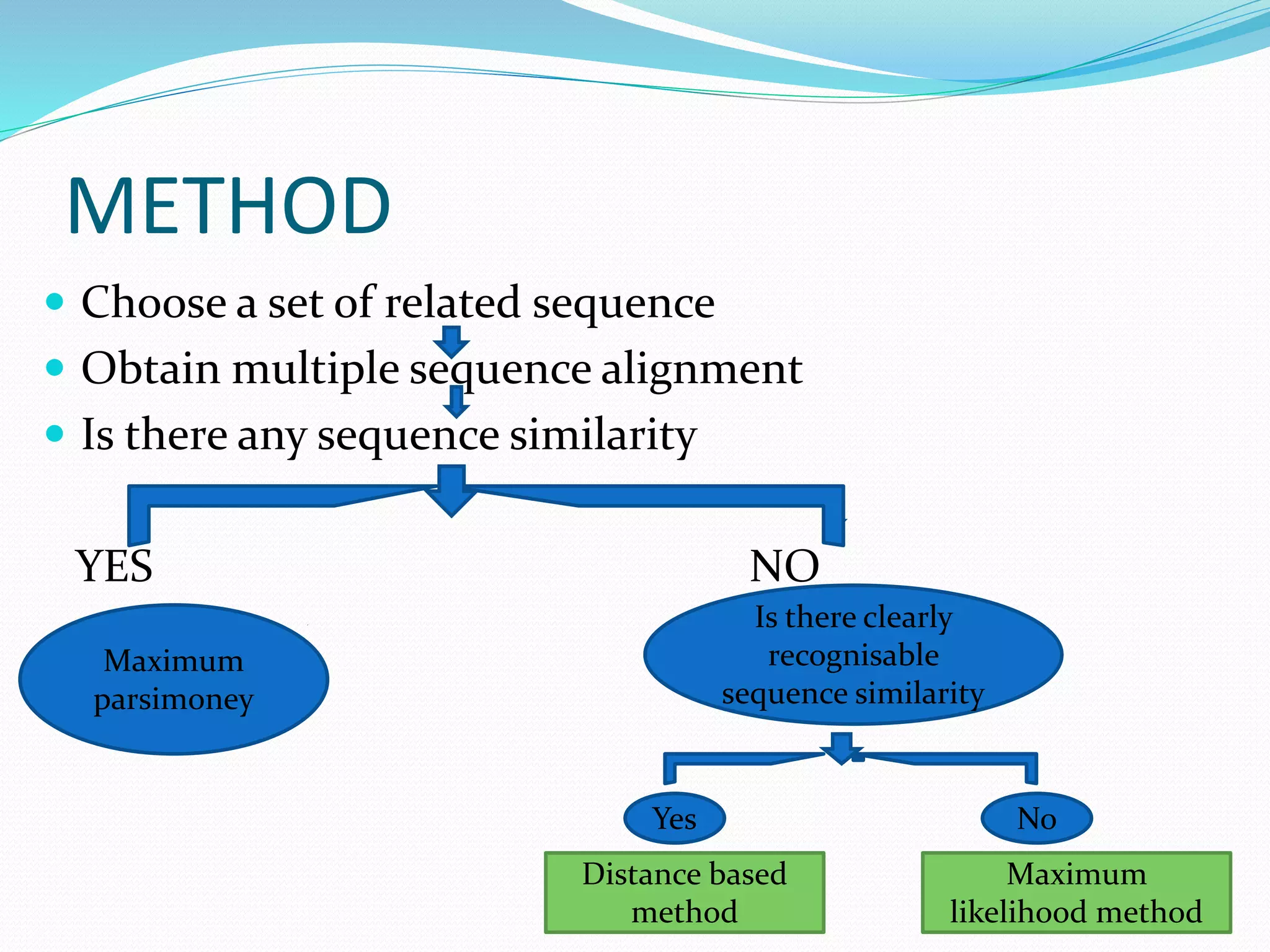 METHOD
 Choose a set of related sequence
 Obtain multiple sequence alignment
 Is there any sequence similarity
YES NO
Is there clearly
recognisable
sequence similarity
Maximum
parsimoney
Yes No
Distance based
method
Maximum
likelihood method
 