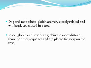  Dog and rabbit beta-globin are very closely related and
will be placed closed in a tree.
 Insect globin and soyabean globin are more distant
than the other sequence and are placed far away on the
tree.
 