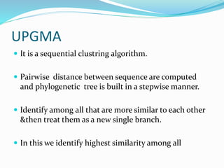 UPGMA
 It is a sequential clustring algorithm.
 Pairwise distance between sequence are computed
and phylogenetic tree is built in a stepwise manner.
 Identify among all that are more similar to each other
&then treat them as a new single branch.
 In this we identify highest similarity among all
 