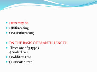  Trees may be
 1 )Bifurcating
 2)Multifurcating
 ON THE BASIS OF BRANCH LENGTH
 Trees are of 3 types
1) Scaled tree
 2)Additive tree
 3)Unscaled tree
 