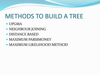 METHODS TO BUILD A TREE
 UPGMA
 NEIGHBOUR JOINING
 DISTANCE BASED
 MAXIMUM PARSIMONEY
 MAXIMUM LIKELIHOOD METHOD
 