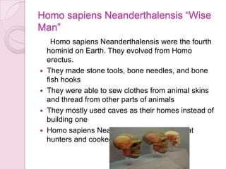 Homo sapiens Neanderthalensis “Wise Man”     Homo sapiens Neanderthalensis were the fourth hominid on Earth. They evolved from Homo erectus.They made stone tools, bone needles, and bone fish hooksThey were able to sew clothes from animal skins and thread from other parts of animalsThey mostly used caves as their homes instead of building oneHomo sapiens Neanderthalensis were great hunters and cooked their prey 