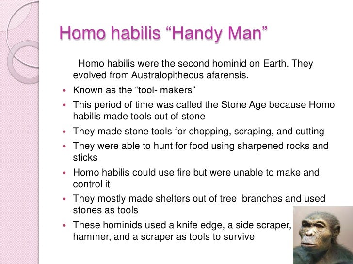 Homo habilis time period