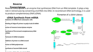 Cdna Making Iscript Reverse Transcriptase TOOLS OF RECOMBINANT DNA TECHNOLOGY.pptx