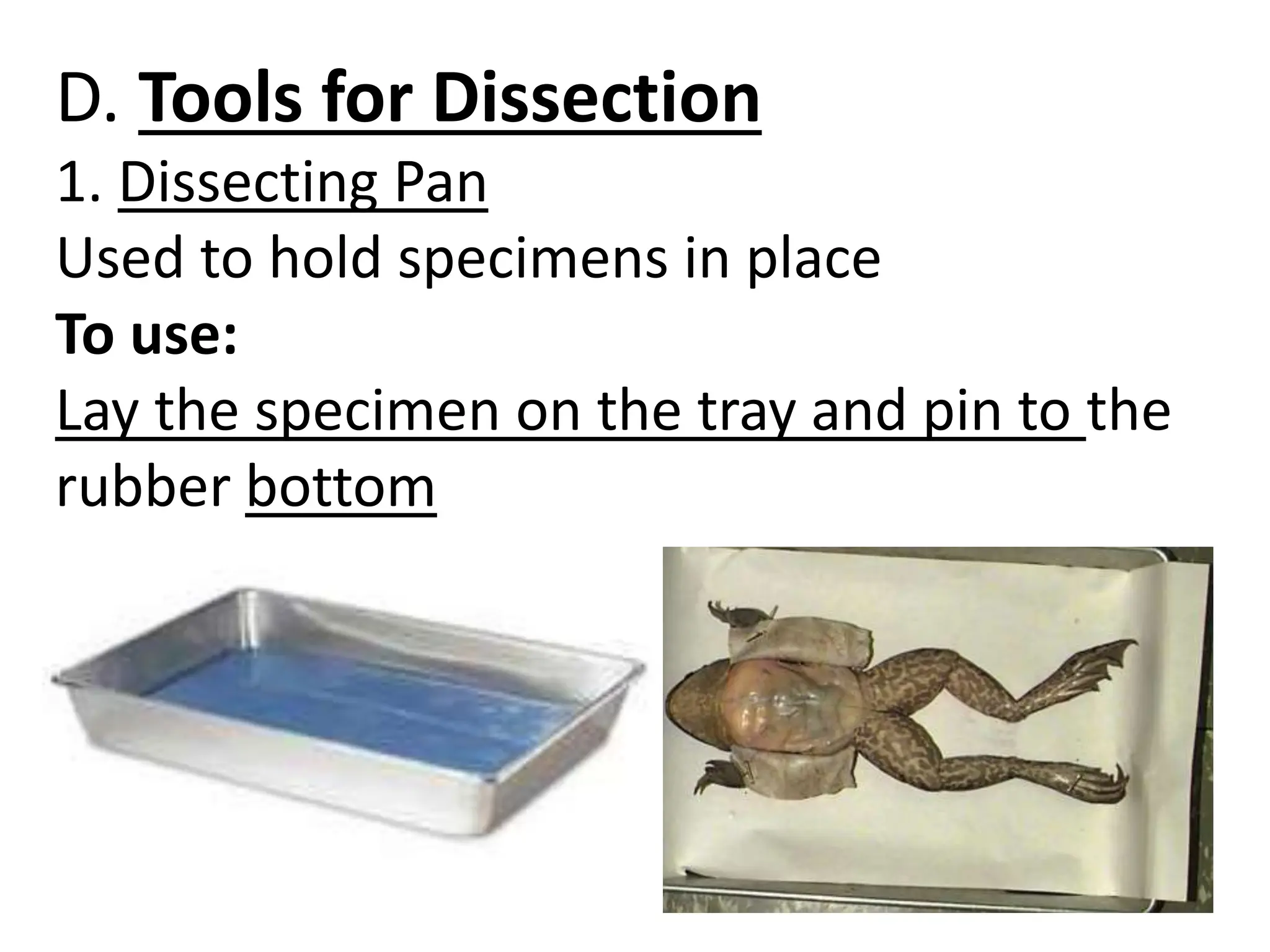 D. Tools for Dissection
1. Dissecting Pan
Used to hold specimens in place
To use:
Lay the specimen on the tray and pin to the
rubber bottom
 
