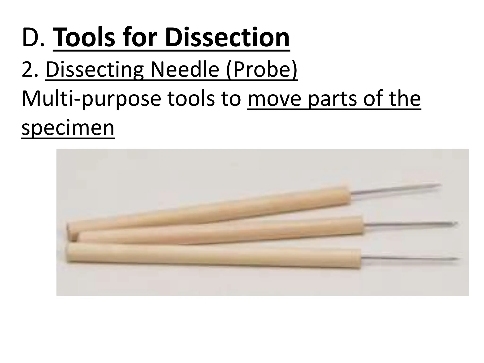 D. Tools for Dissection
2. Dissecting Needle (Probe)
Multi-purpose tools to move parts of the
specimen
 