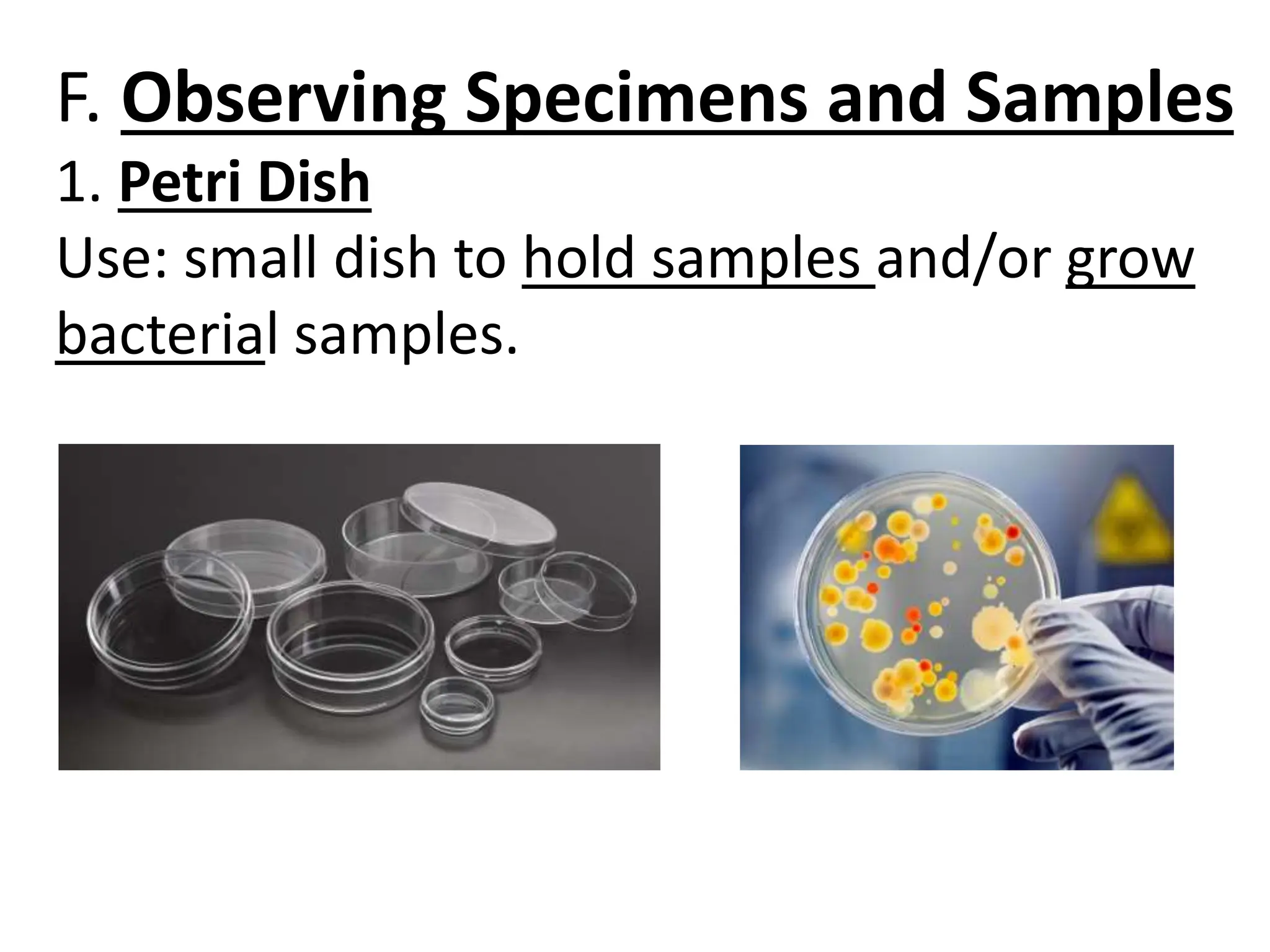 F. Observing Specimens and Samples
1. Petri Dish
Use: small dish to hold samples and/or grow
bacterial samples.
 