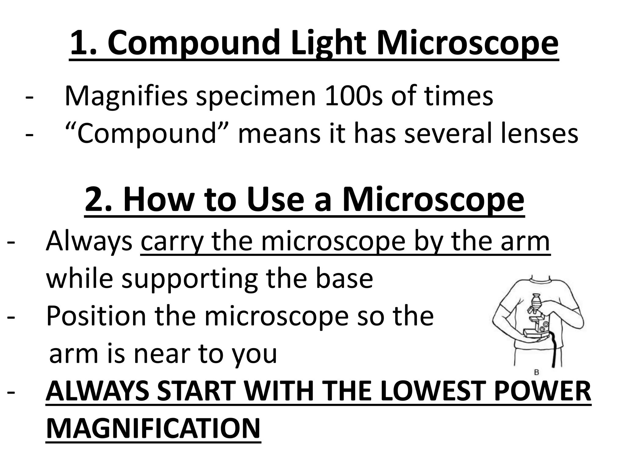 1. Compound Light Microscope
- Magnifies specimen 100s of times
- “Compound” means it has several lenses
2. How to Use a Microscope
- Always carry the microscope by the arm
while supporting the base
- Position the microscope so the
arm is near to you
- ALWAYS START WITH THE LOWEST POWER
MAGNIFICATION
 