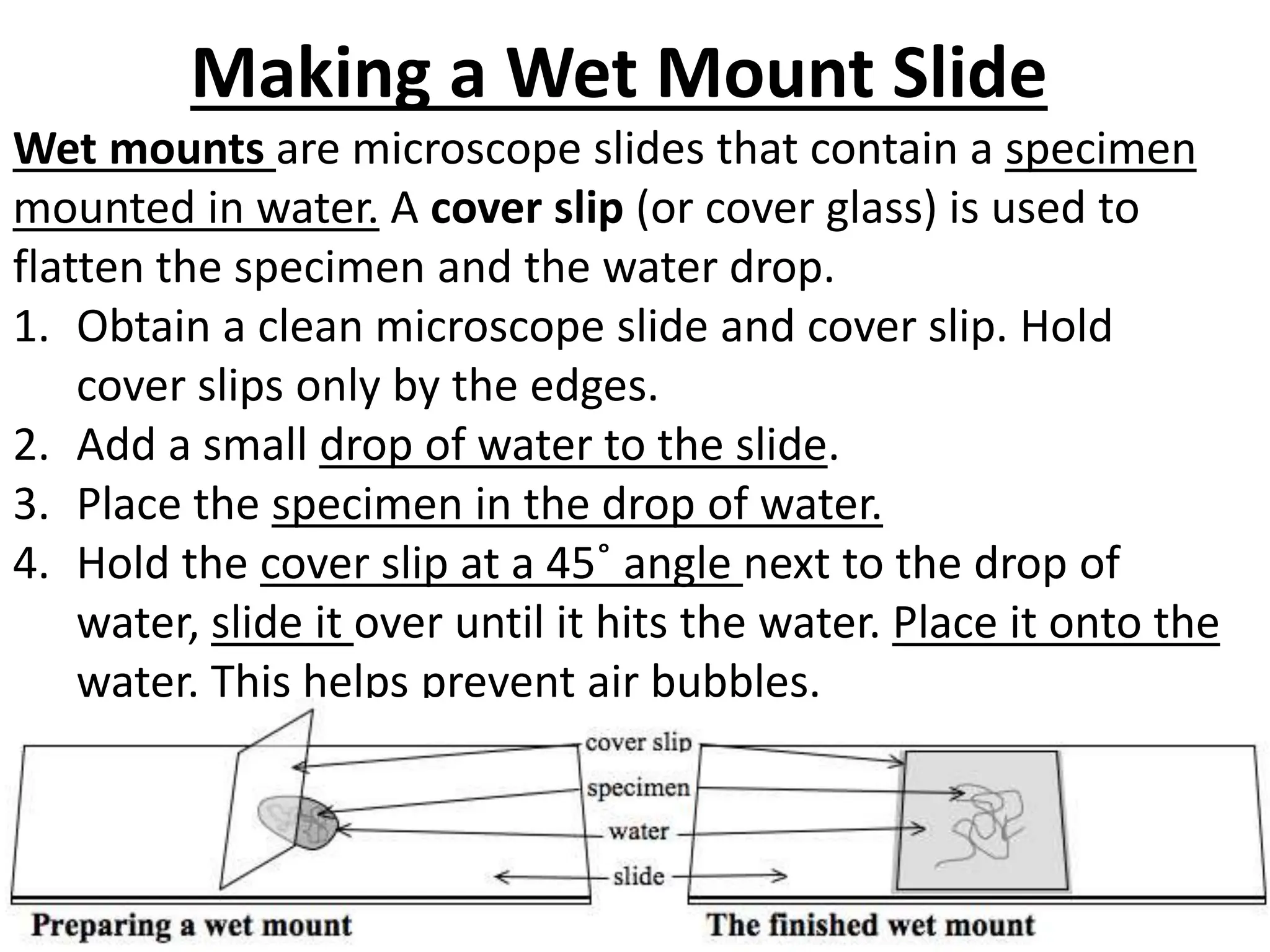 Making a Wet Mount Slide
Wet mounts are microscope slides that contain a specimen
mounted in water. A cover slip (or cover glass) is used to
flatten the specimen and the water drop.
1. Obtain a clean microscope slide and cover slip. Hold
cover slips only by the edges.
2. Add a small drop of water to the slide.
3. Place the specimen in the drop of water.
4. Hold the cover slip at a 45˚ angle next to the drop of
water, slide it over until it hits the water. Place it onto the
water. This helps prevent air bubbles.
 