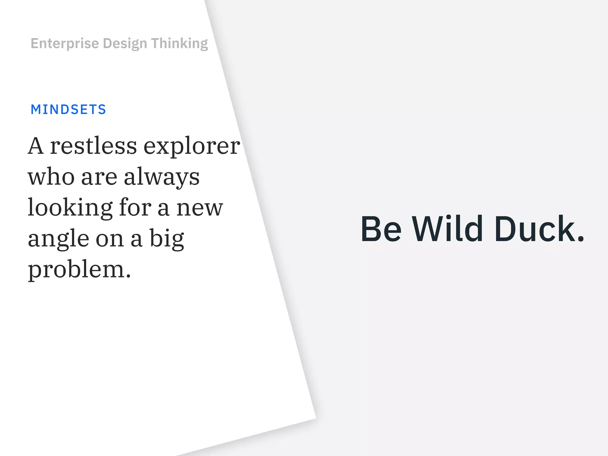 Be Wild Duck.
Enterprise Design Thinking
MINDSETS
A restless explorer
who are always
looking for a new
angle on a big
problem. 
 