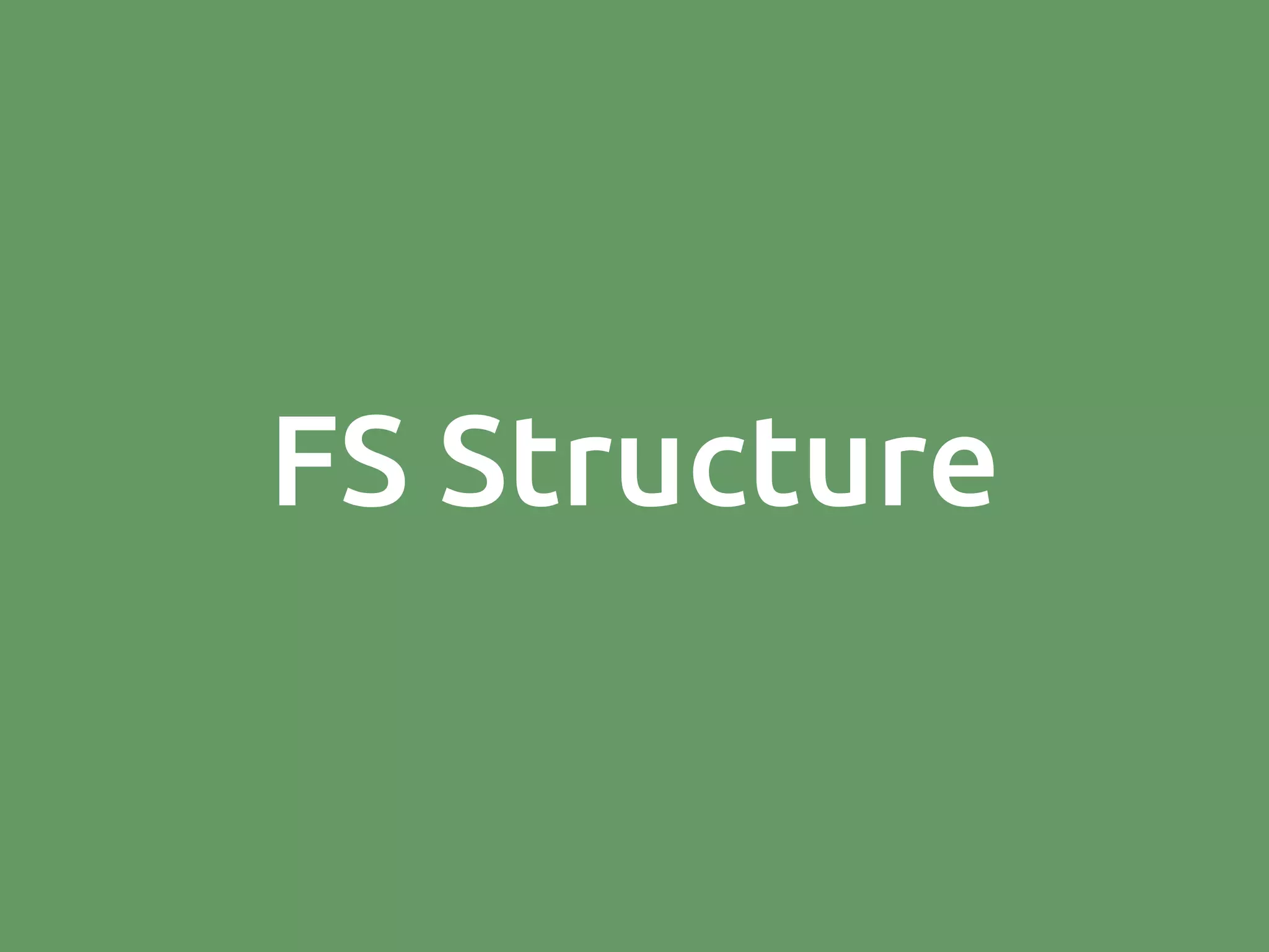 FS Structure 