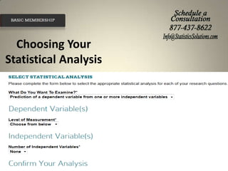 Choosing Your
Statistical Analysis

 