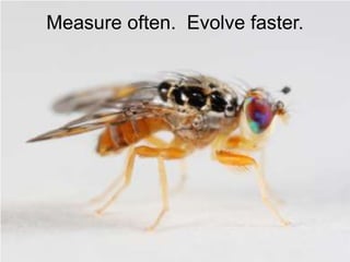 Measure often.  Evolve faster.