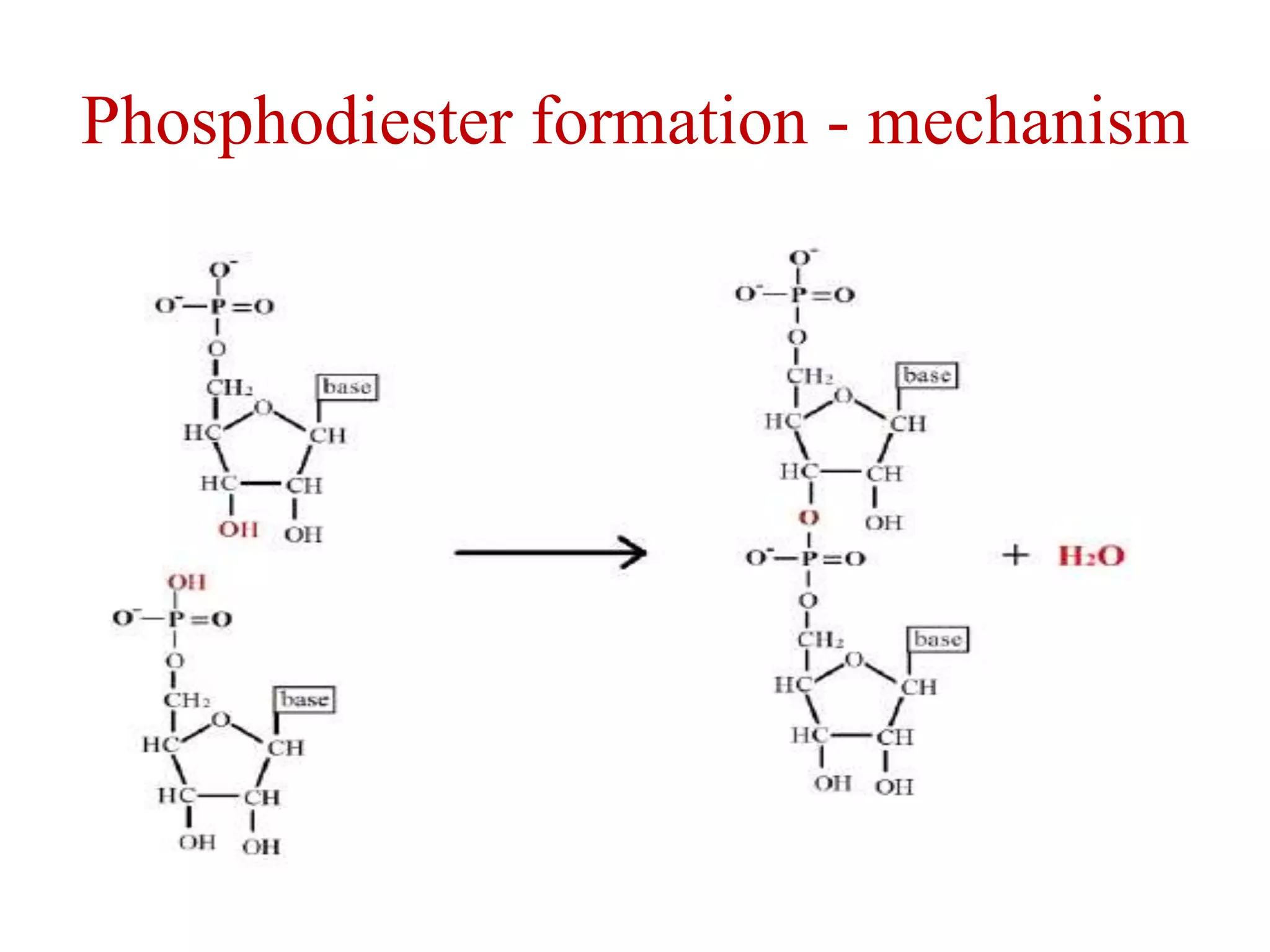 Tools used in genetic engineering pptx