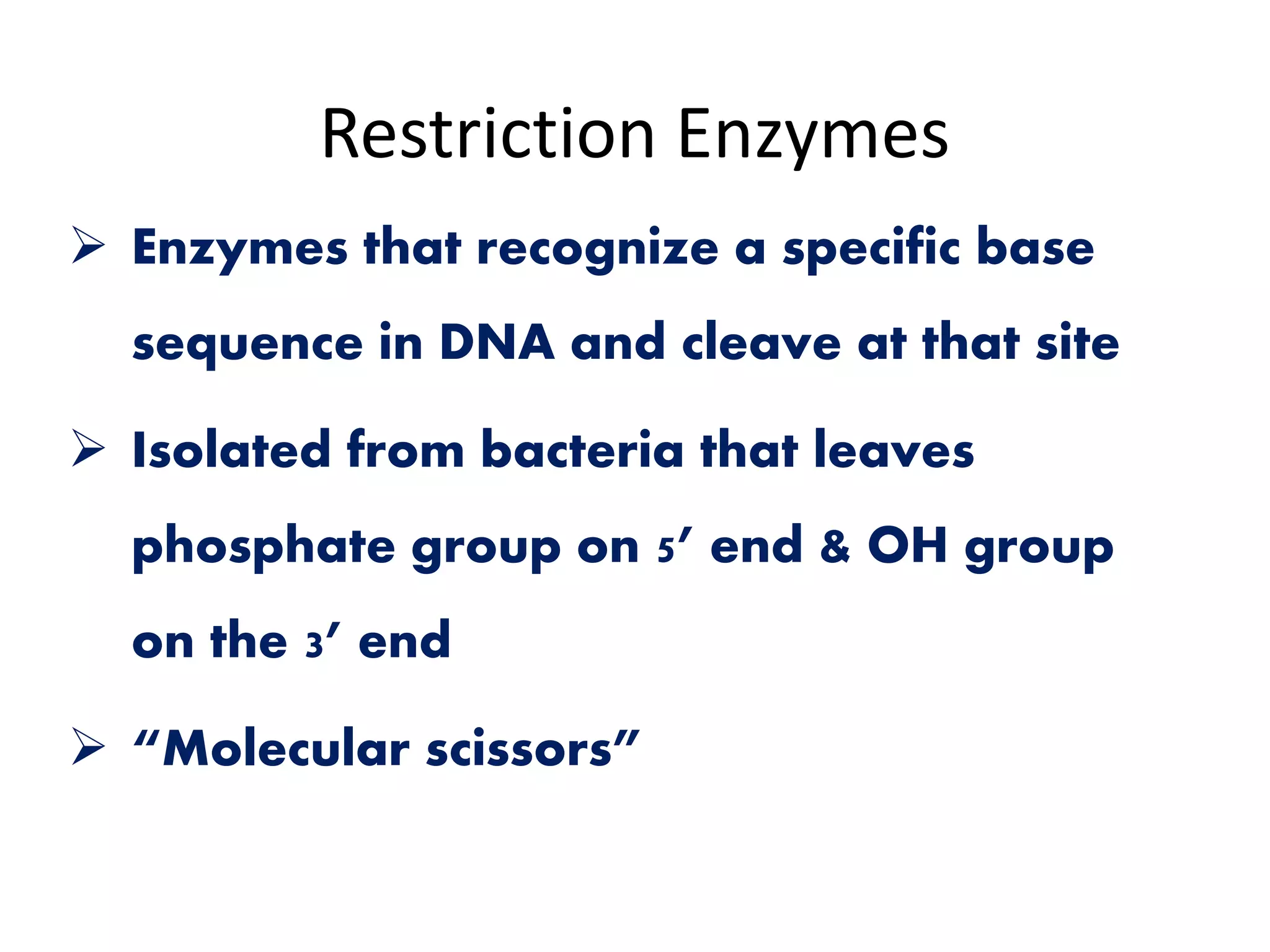 Tools used in genetic engineering pptx