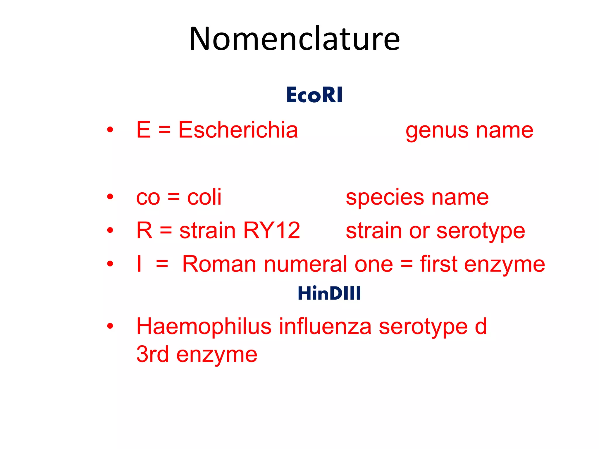 Tools used in genetic engineering pptx