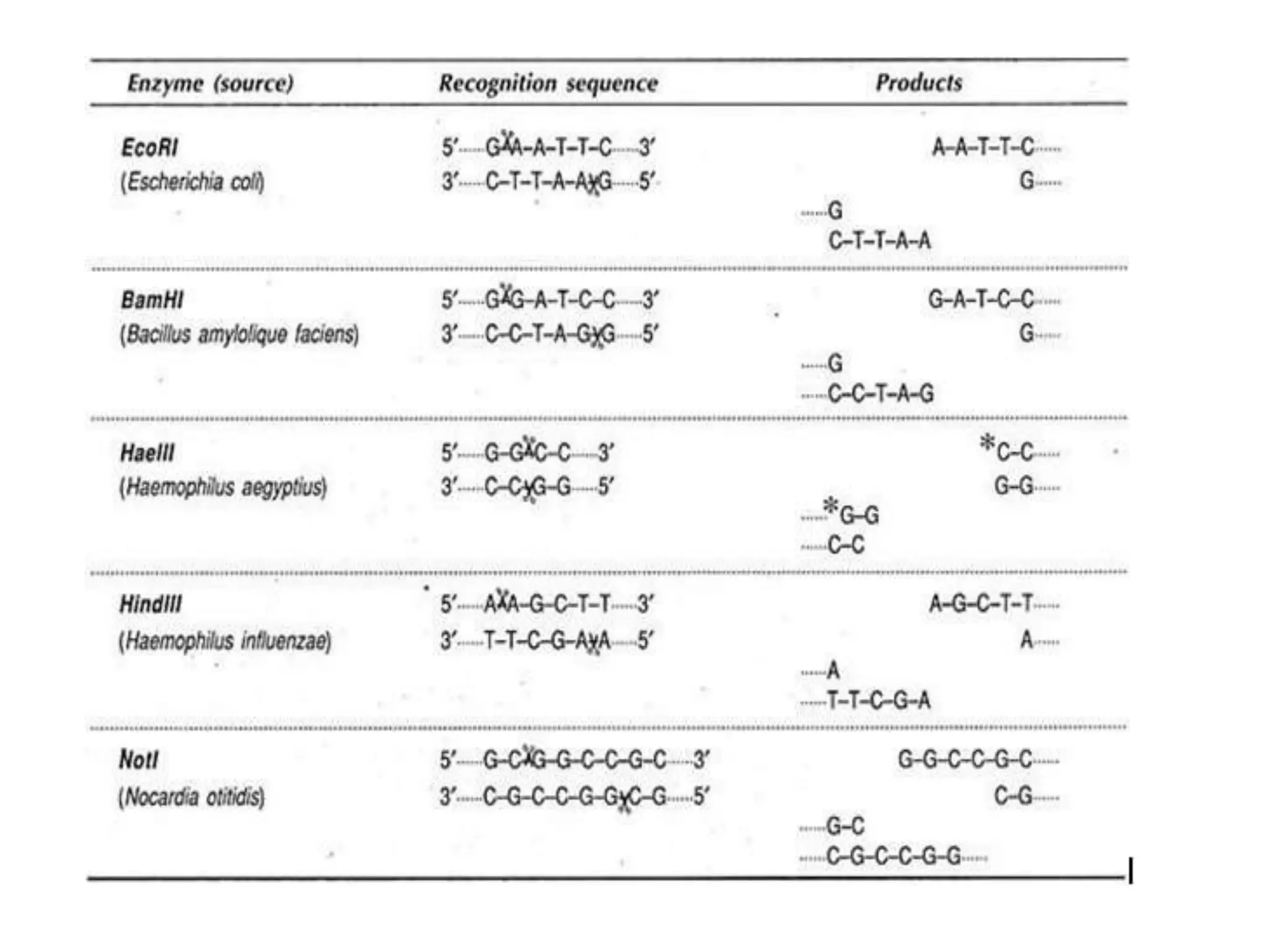 Tools used in genetic engineering pptx