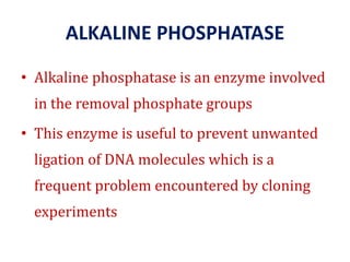ALKALINE PHOSPHATASE
• Alkaline phosphatase is an enzyme involved
in the removal phosphate groups
• This enzyme is useful to prevent unwanted
ligation of DNA molecules which is a
frequent problem encountered by cloning
experiments
 