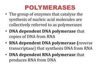POLYMERASES
• The group of enzymes that catalyse the
synthesis of nucleic acid molecules are
collectively referred to as polymerases
• DNA dependent DNA polymerase that
copies of DNA from RNA
• RNA dependent DNA polymerase (reverse
transcriptase) that synthesis DNA from RNA
• DNA dependent RNA polymerase that
produces RNA from DNA
 