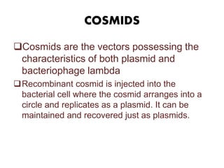 COSMIDS
Cosmids are the vectors possessing the
characteristics of both plasmid and
bacteriophage lambda
Recombinant cosmid is injected into the
bacterial cell where the cosmid arranges into a
circle and replicates as a plasmid. It can be
maintained and recovered just as plasmids.
 