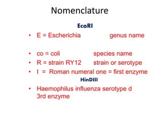 Nomenclature
EcoRI
• E = Escherichia genus name
• co = coli species name
• R = strain RY12 strain or serotype
• I = Roman numeral one = first enzyme
HinDIII
• Haemophilus influenza serotype d
3rd enzyme
 