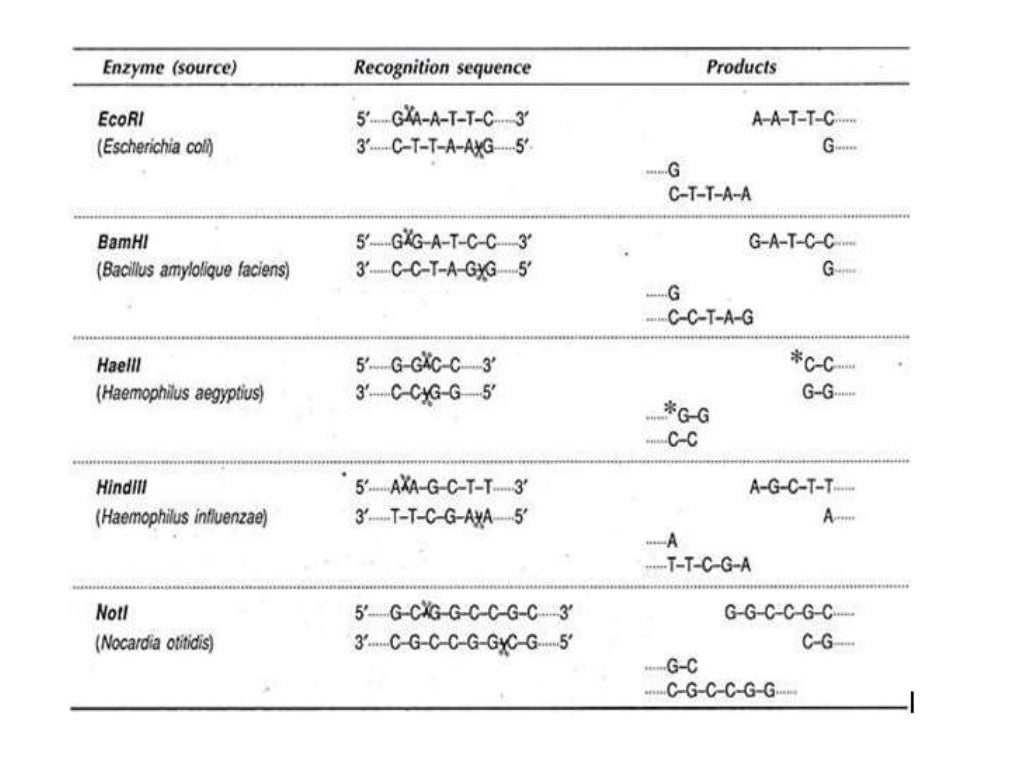 Tools used in engineering