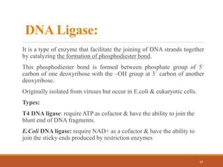 DNA Ligase:
It is a type of enzyme that facilitate the joining of DNA strands together
by catalyzing the formation of phosphodiester bond.
This phosphodiester bond is formed between phosphate group of 5`
carbon of one deoxyribose with the –OH group at 3` carbon of another
deoxyribose.
Originally isolated from viruses but occur in E.coli & eukaryotic cells.
Types:
T4 DNA ligase: require ATP as cofactor & have the ability to join the
blunt end of DNA fragments.
E.Coli DNA ligase: require NAD+ as a cofactor & have the ability to
join the sticky ends produced by restriction enzymes
14
 