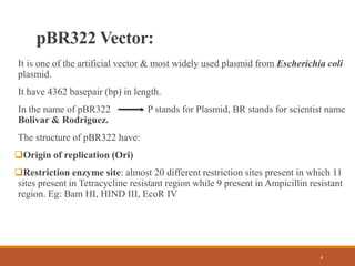 pBR322 Vector:
It is one of the artificial vector & most widely used plasmid from Escherichia coli
plasmid.
It have 4362 basepair (bp) in length.
In the name of pBR322 P stands for Plasmid, BR stands for scientist name
Bolivar & Rodriguez.
The structure of pBR322 have:
Origin of replication (Ori)
Restriction enzyme site: almost 20 different restriction sites present in which 11
sites present in Tetracycline resistant region while 9 present in Ampicillin resistant
region. Eg: Bam HI, HIND III, EcoR IV
4
 