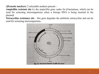 Genetic markers: 2 selectable markers present –
Ampicillin resistant site i.e the ampicillin gene codes for β-lactamase, which can be
used for screening microorganisms when a foreign DNA is being inserted in the
plasmid.
Tetracycline resistance site – this gene degrades the antibiotic tetracycline and can be
used for screening microorganisms.
5
 